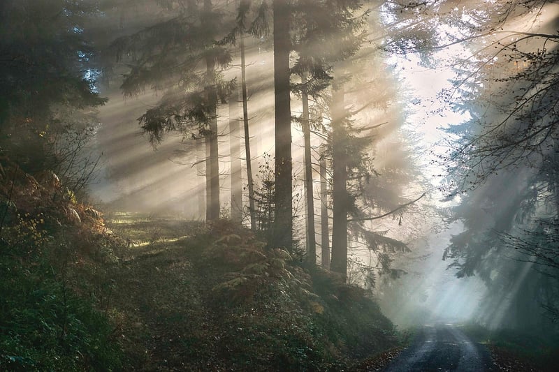Mystical Realm